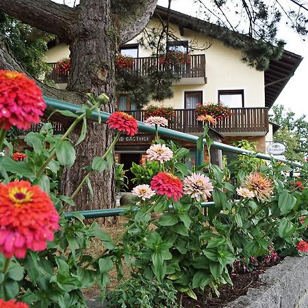 Hotel-Landgasthof Henghuber Rötz Esterno foto